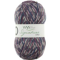 West Yorkshire Spinners Birds Signature 4 Ply Yarn, 100g - Wood Pigeon