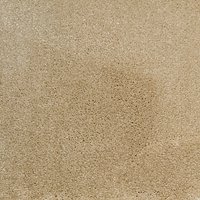 Elements Synergy Synthetic Luxury Cut Pile Carpet - Dairy Cream