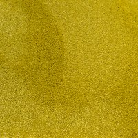 Elements Synergy Synthetic Luxury Cut Pile Carpet - Gold Coast