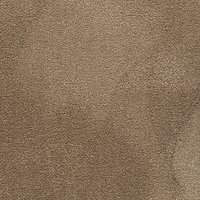 Elements Sheen Velvet Synthetic Super Soft Saxony Carpet - Silver Taupe
