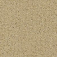 Ryalux Period Velvet Carpet - Anastasia