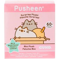 Mini Pusheen Mix & Match Surprise Box