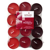 Spaas Mulberry Wine Tea Light Pack Of 24