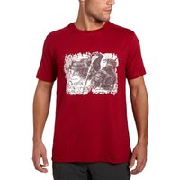 Peter Storm Men's Pepin T-Shirt - Red, Red