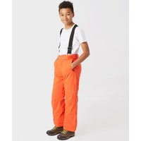 Dare 2B Boys' Take On Ski Pants - Orange, Orange