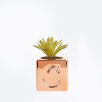 Rose Gold 'C' Initial Faux Plant New Look