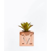 Rose Gold 'M' Initial Faux Plant New Look