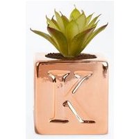 Rose Gold 'K' Initial Faux Plant New Look