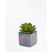 Multi Coloured Oil Slick Cube Faux Plant New Look