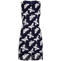 Apricot Navy Lace Butterfly Pattern Dress New Look