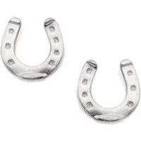 Silver Horseshoe Andralok Earrings - 6mm - F9936