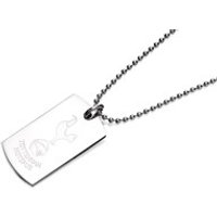 Stainless Steel Tottenham Hotspur FC Dog Tag Pendant And Chain - J2793