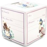 Beatrix Potter A25215 Peter Rabbit Money Box - P8701
