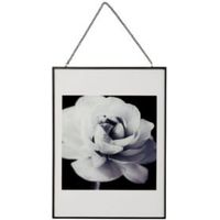 Cabbage Rose Black & White Hanging Framed Print (W)30cm (H)40cm
