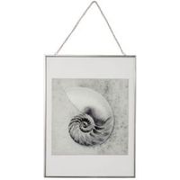 Shell Grey Hanging Framed Print (W)30cm (H)40cm