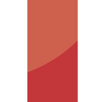 Vistelle Red Single Shower Panel (L)2.44m (W)1000mm (T)4mm