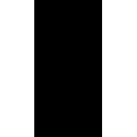Vistelle Black Single Shower Panel (L)2.44m (W)1000mm (T)4mm