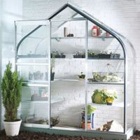 B&Q Metal 6X2 Toughened Safety Glass Wall Garden Greenhouse - 03291139