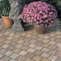 Autumn Green Natural Sandstone Paving Setts (L)100mm (W)100mm Pack Of 750 8.8 M²