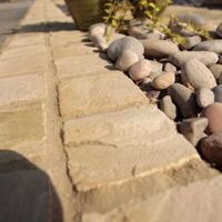 Fossil Buff Natural Sandstone Paving Setts (L)100mm (W)100mm Pack Of 750 8.8 M²