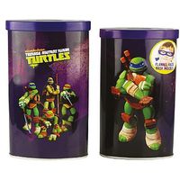 Turtles Tin Gift Set