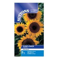 Suttons Sunflower Seeds F1 Full Sun Mix