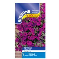 Suttons Petunia Supa Seeds F1 Purple Wave Mix