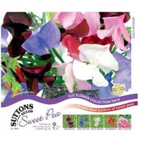 Suttons Sweet Pea Seeds Exhibitors Collection Mix