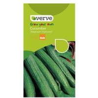 Verve Cucumber Seeds Telegraph Improved Mix