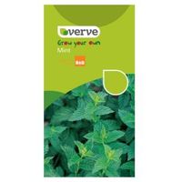 Verve Mint Seeds Herb Mix