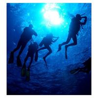 Discover Scuba Diving Experience For Two