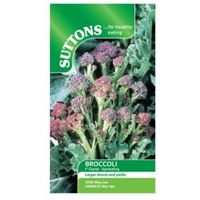 Suttons Sprouting Broccoli Seeds F1 Claret Mix