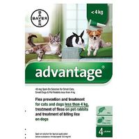 Advantage Flea Prevention And Treatment For Small Cats, Small Dogs And Pet Rabbits Less Than 4kg - 40mg Spot-on Solution