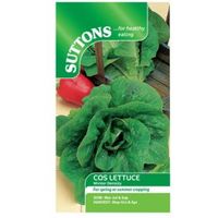 Suttons Lettuce Seeds Winter Density Mix