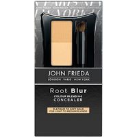 John Frieda Root Blur Colour Blending Concealer Platinum To Soft Gold