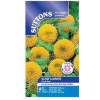 Suttons Sunflower Seeds Teddy Bear Mix