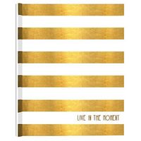 Striped Gold Foil & White Album 7x5