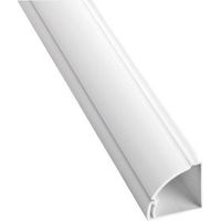 D-Line 22mm X 22mm X 2m White Trunking