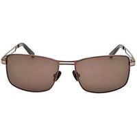 Barbour Brown Metal Aviator Sunglasses With Arm Detail