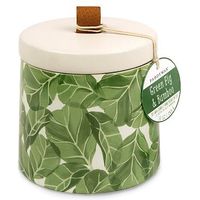 Paddywax Botany Ceramic Candle Green Fig And Bamboo 285g