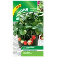 Suttons Strawberry Seeds Temptation